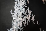 Indian Paper Mills Association calls for 25% import duties Paper, Origami. Photo Jonas Tebbe via Unsplash