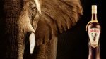 The most exciting design tool ever Amarula save the elephant campaign Photo Amarula via Internet