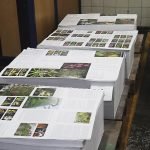 How does the uniform 18% GST affect book publishing and printing? publishing and printing