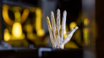 Xaar — Unleashes 3D Inkjet xaar