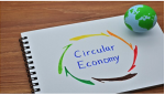 Paper or plastic? Kathie Rowzie president of Two Sides North America says it's a clear choice in a circular economy