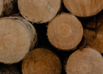 Intergraf joins cross-sector coalition on circular choices Intergraf