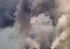 Canada wildfires: Climate change or paper industry? Canada