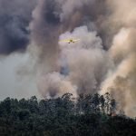 Canada wildfires: Climate change or paper industry? Canada