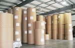 Can the Indian paper industry leverage the rising local demand? paper