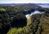 Stora Enso divests 12.4% of its Swedish forest holdings Stora