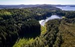Stora Enso divests 12.4% of its Swedish forest holdings Stora