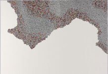 Michihito Nakano’s Difference wins Epson Prize Epson