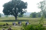 The govt school conundrum schools