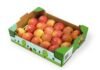 Siegwerk unveils UniLEAF for paper and board applications Siegwerk