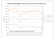 Is North America the answer to softwood roundwood’s growing global shortage? North