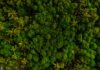Two Sides global anti-greenwash campaign passes major milestone Two Sides