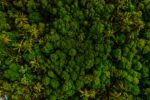 Two Sides global anti-greenwash campaign passes major milestone Two Sides