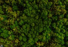 Two Sides global anti-greenwash campaign passes major milestone Two Sides