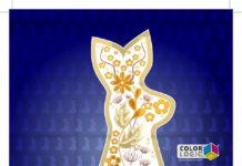 Color-Logic, Ricoh & Duplo win bronze at FSEA Print Color