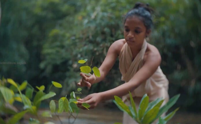 Mathrubhumi