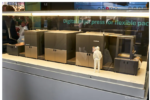 Fujifilm to spin off print Fujifilm is split across four divisions: Healthcare, which includes the Medical System business as well as the Bio Contract Development and Manufacturing Organization; Electronics, made up of Electronic Materials and Advanced Functional Materials; Imaging, mainly cameras, lenses and related consumables, both Consumer and Professional; and Business Innovation.